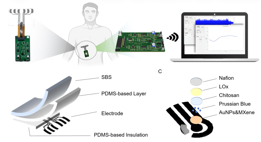 BreathFIT: Multimodal Real-Time Monitoring of User Respiratory Health with Wearable Sensors