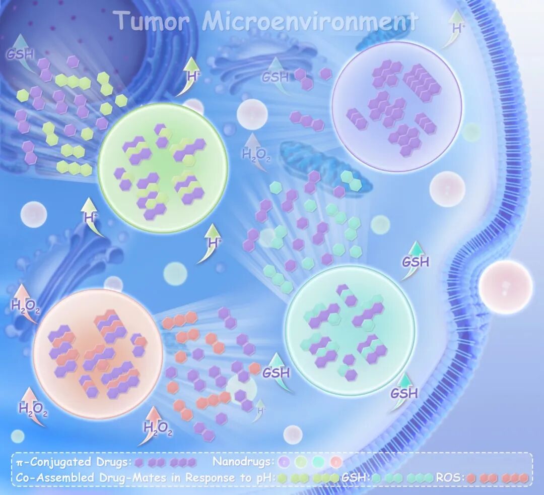 Boosting Disassembly of π–π Stacked Supramolecular Nanodrugs under Tumor Microenvironment by Introducing Stimuli-Responsive Drug-Mates