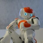 The Era of Full-Brain Intelligence Has Arrived: Black Sesame Intelligence Propels Robots Towards Evolution as Intelligent Entities