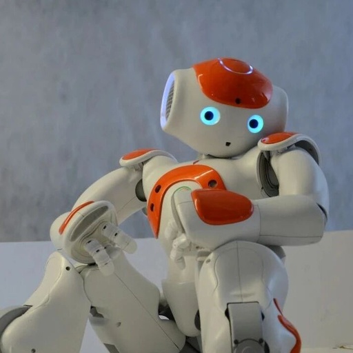 The Era of Full-Brain Intelligence Has Arrived: Black Sesame Intelligence Propels Robots Towards Evolution as Intelligent Entities