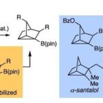 Polycyclic Scaffolds through the Intermediacy of Boron-Stabilized Nonclassical Carbocations