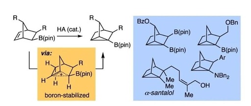 Polycyclic Scaffolds through the Intermediacy of Boron-Stabilized Nonclassical Carbocations