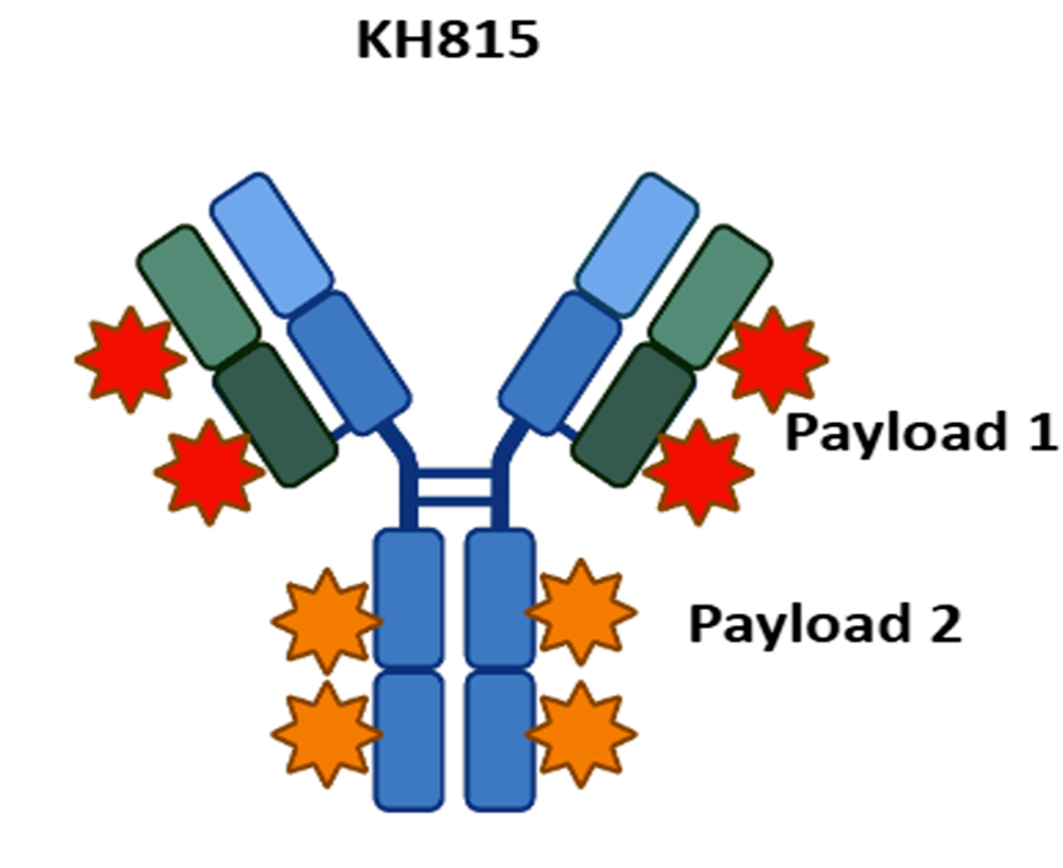 World's First Dual Payload ADC Clinical Data Released