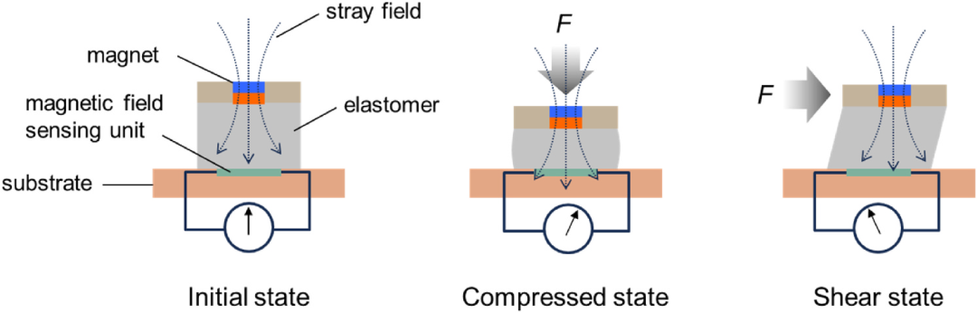 RMR | Cutting-Edge Tactile Perception: Innovations in Magnetic Materials and Sensors