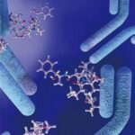 Immunomodulatory Effects of Antibody-Drug Conjugates