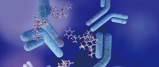 Immunomodulatory Effects of Antibody-Drug Conjugates
