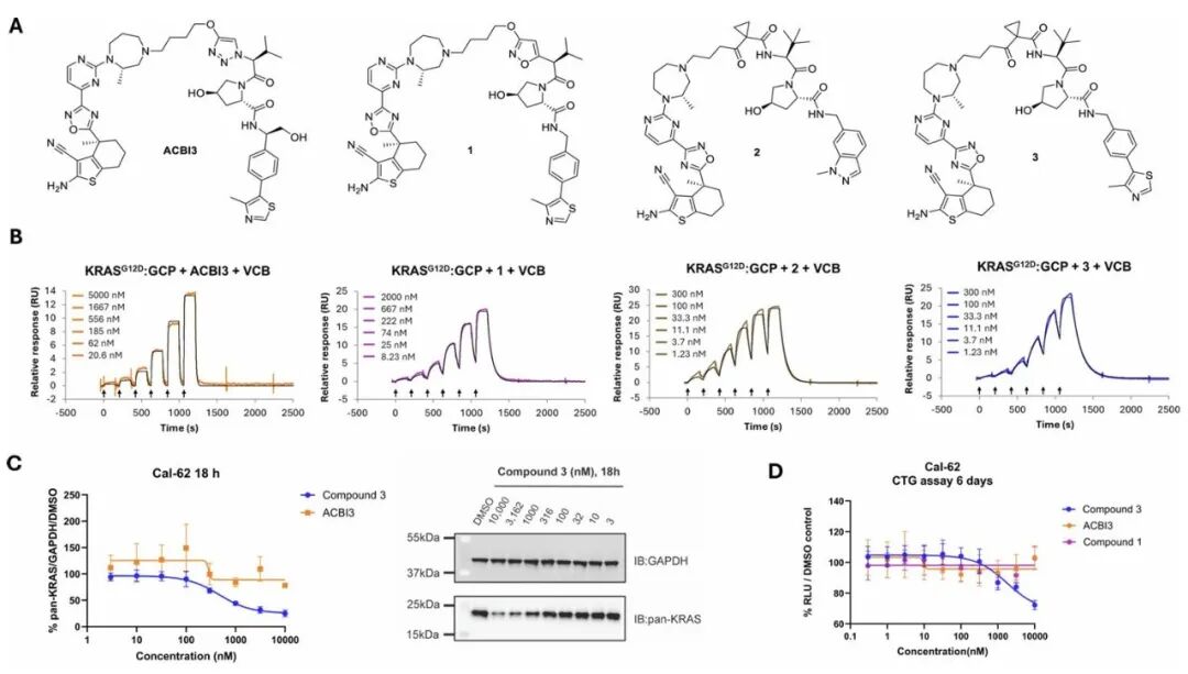 Targeting the 'Activated State' KRAS: Discovery of the Highly Cooperative PROTAC Degrader ACBI4