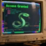 Rebirth: Becoming a Python Expert (Part 4)