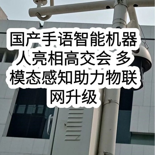 Domestic Sign Language Intelligent Robot Unveiled at High-Tech Fair: Multimodal Perception Boosts IoT Upgrades