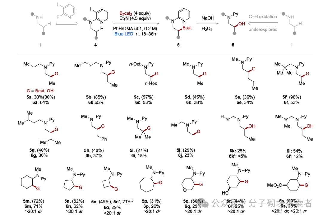 Breakthrough in C–H Borylation of Aliphatic Amines: Metal-Free Catalysis Achieves Selective Functionalization at β/γ Positions