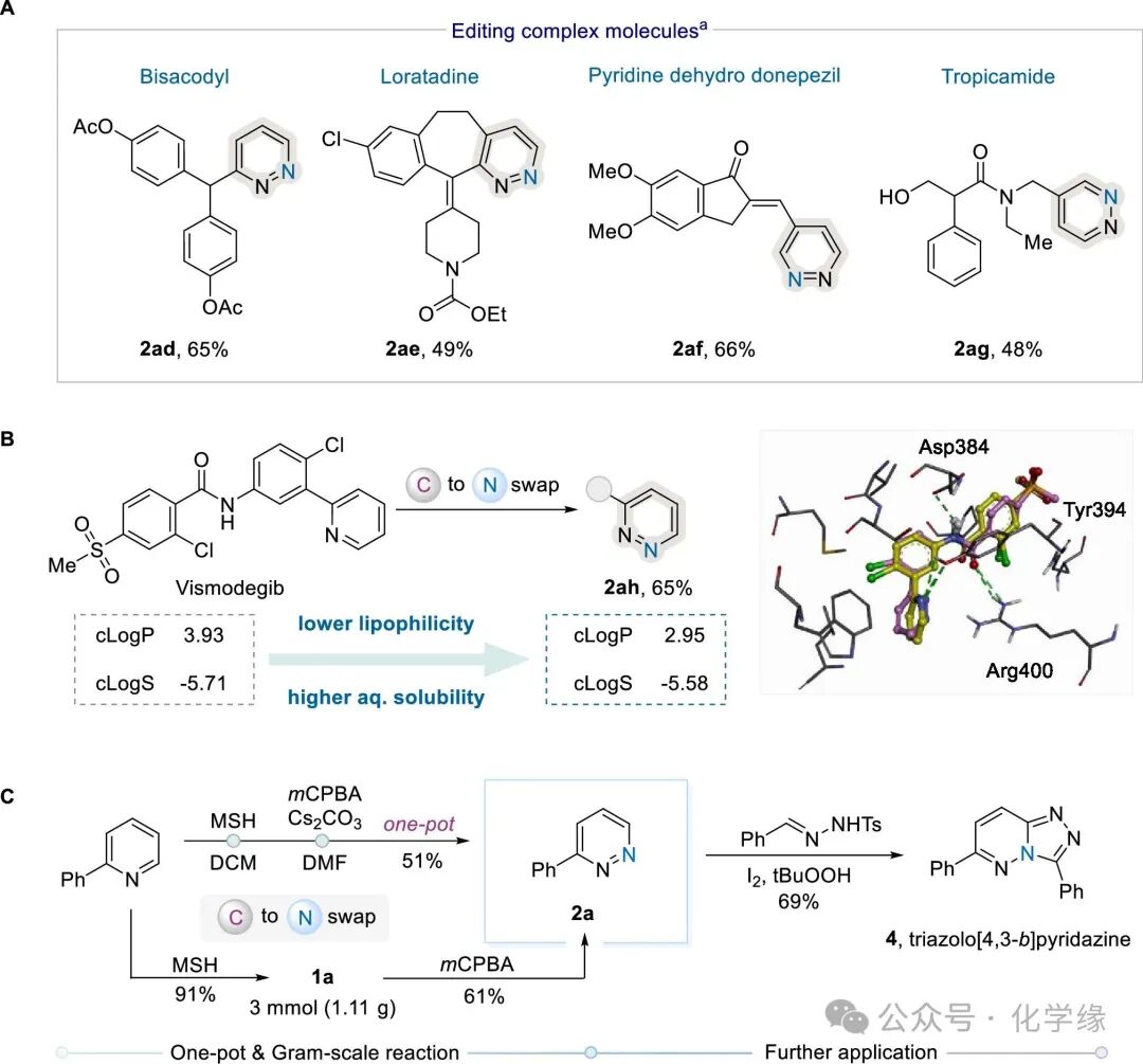 Skeletal Editing Strategy from Pyridine to Pyridazine by Sungwoo Hong at KAIST