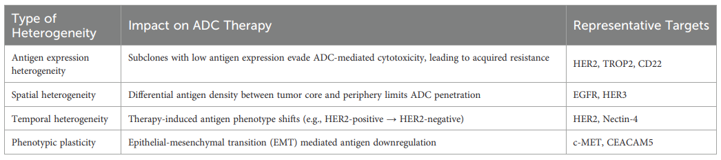 13 Approved ADCs in a Billion-Dollar Market: Why Are ADCs the New Favorite in Cancer Treatment?