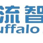Bouffalo Lab: Low-Power Wi-Fi 6/BT/Zigbee Fully Integrated RISC-V SoC Chips BL616/618