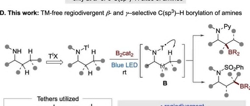 Breakthrough in C–H Borylation of Aliphatic Amines: Metal-Free Catalysis Achieves Selective Functionalization at β/γ Positions
