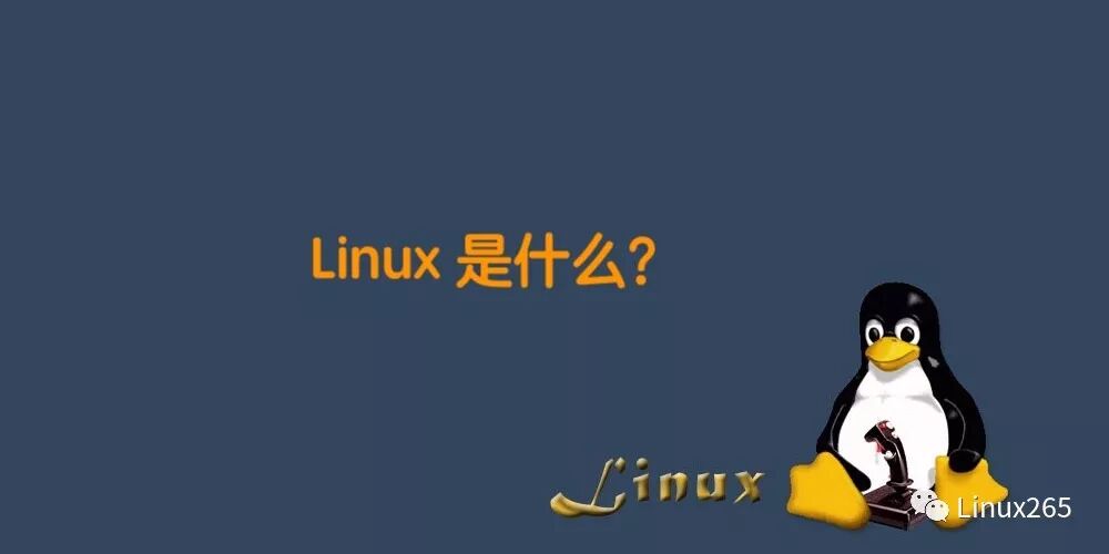 Understanding Linux: An Overview of the Open Source Operating System