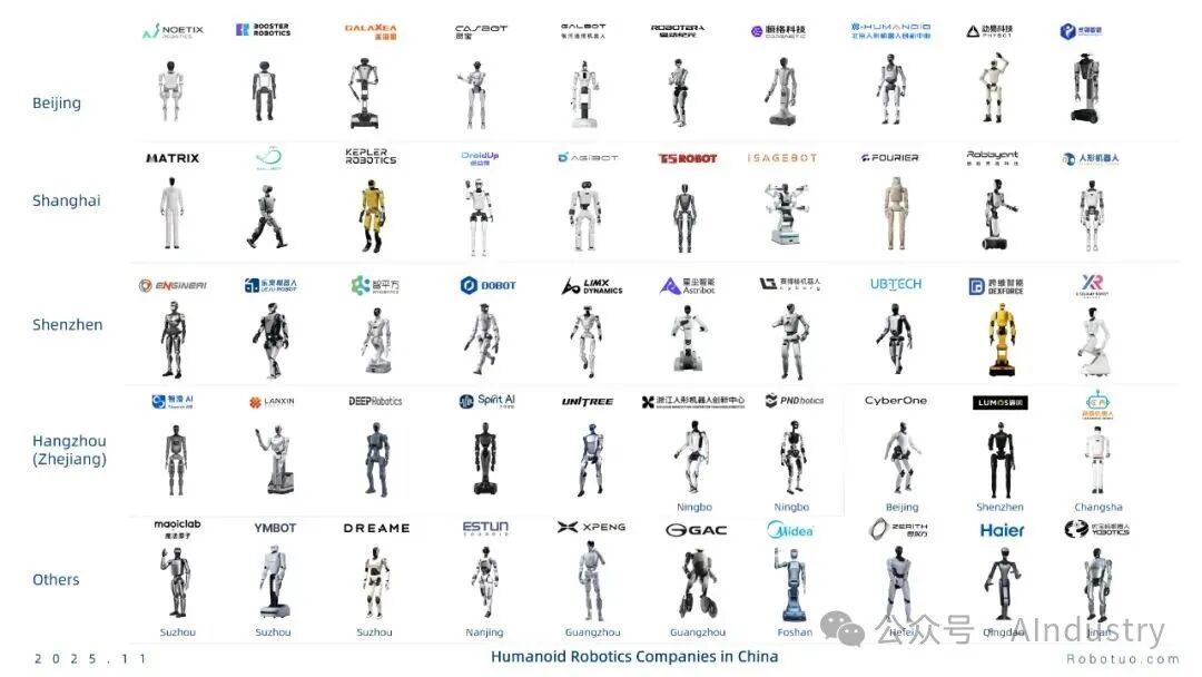 Ecological Map of Humanoid Robots in China and the United States