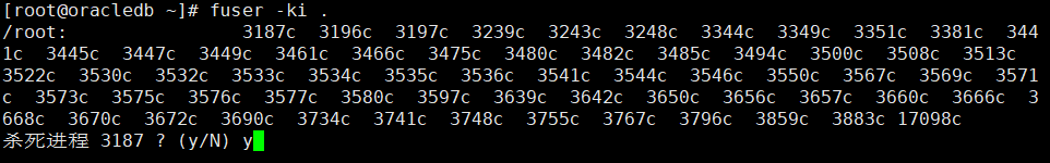 Using fuser: Finding and Terminating Processes in Linux by File, Directory, or Port