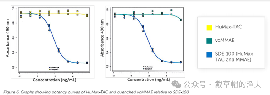In Vitro Pharmacodynamic Evaluation - Development and Validation of Biological Activity Methods for ADC Drugs