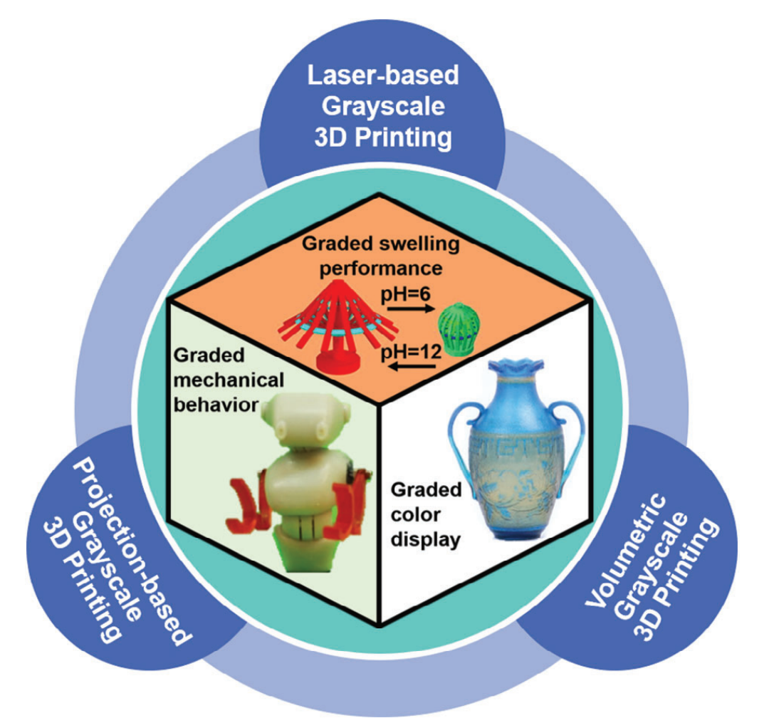 Grayscale Photopolymerization 3D Printing Promotes the Fine Manufacturing of Functionally Graded Materials