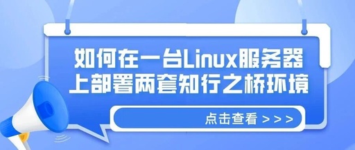 How to Deploy Two Independent EDI Environments on a Linux Server