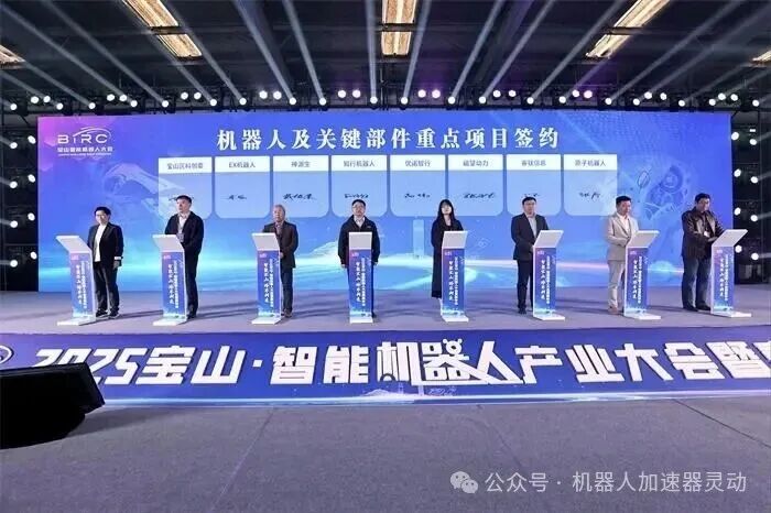 Baoshan, Shanghai: Stimulating New Growth Momentum in the Robotics Industry