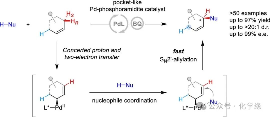 Palladium-Catalyzed Site– and Enantiodifferentiating Allylic C–H Alkylation of Internal Alkenes