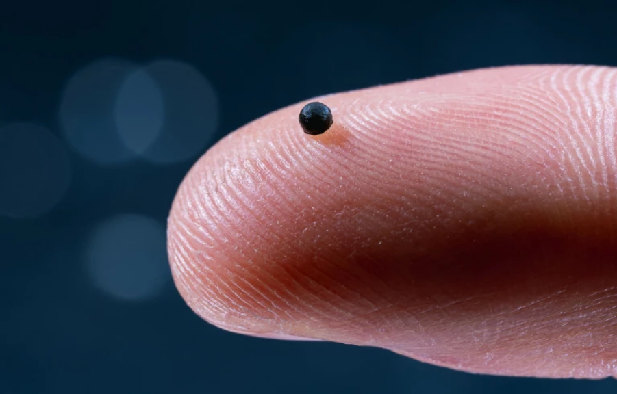 Microrobots Operating in Blood Vessels