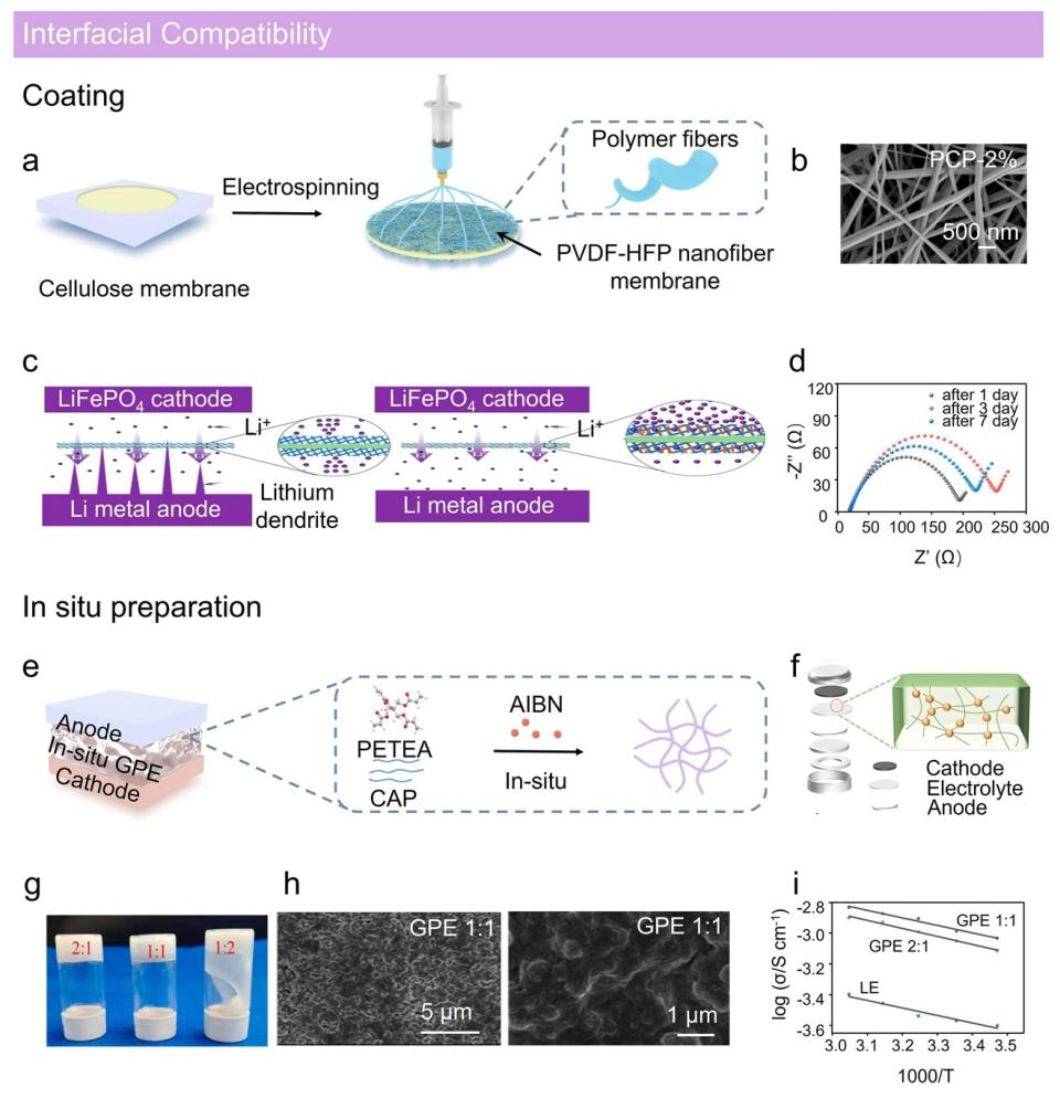 Lignocellulose-Mediated Gel Polymer Electrolytes: Enabling Next-Generation Energy Storage Devices
