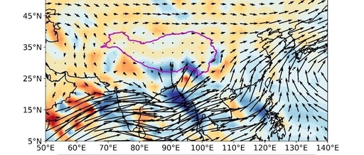 Water Vapor Flux and Its Divergence