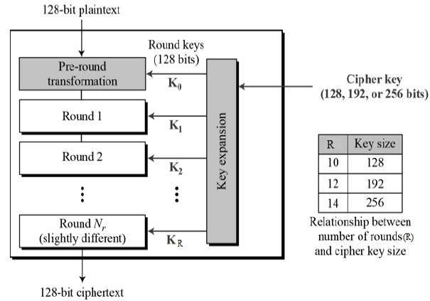 Password Security: A Comprehensive Overview of Common Encryption Algorithms