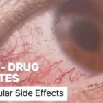 T-DXd vs Dato-DXd: Differences in Toxicity in Lungs and Eyes with Same Payload, While SG and Trastuzumab Deruxtecan Remain Safe