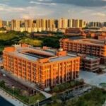 The Development Gap Among Four Graduates from Hunan University of Technology's Computer Science Program After Seven Years