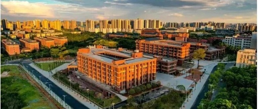 The Development Gap Among Four Graduates from Hunan University of Technology's Computer Science Program After Seven Years