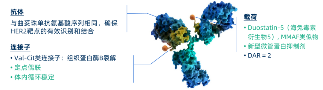 China's Original HER2 ADC Botuzumab (Shutai Lai®) Prescriptions Launched, Opening a New Chapter in HER2 Positive Breast Cancer Treatment