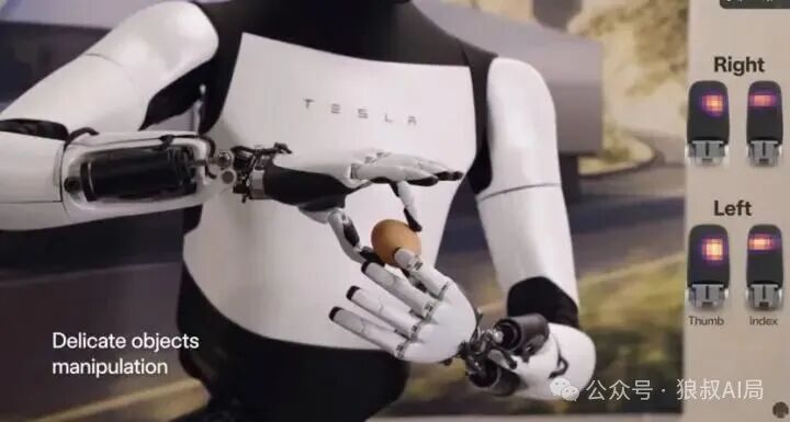 The Fate of Robots is Determined Not by AI or Algorithms, but by a Hand More Human-like
