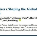 Hierarchical Drivers Shaping the Global Patterns of Soil Organic Carbon