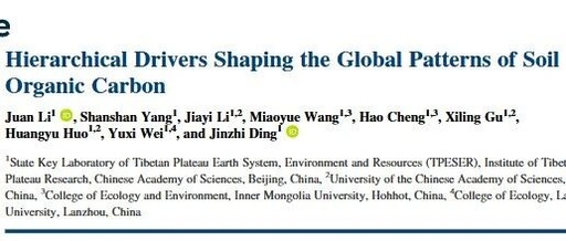 Hierarchical Drivers Shaping the Global Patterns of Soil Organic Carbon