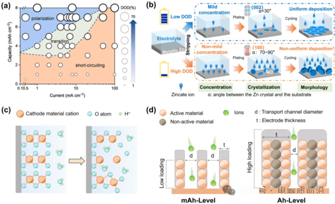 Professor Jiang Zhou from Central South University Leads a Review on Design Strategies for Advanced Ah-Level Zinc Metal Batteries in Chem. Soc. Rev.