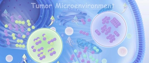 Boosting Disassembly of π–π Stacked Supramolecular Nanodrugs under Tumor Microenvironment by Introducing Stimuli-Responsive Drug-Mates