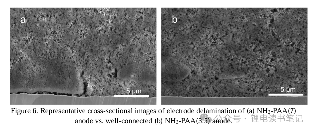 Decoupling Li+ and pH Effects: Unveiling the "Golden Rule" of PAA Binders for Silicon Anodes