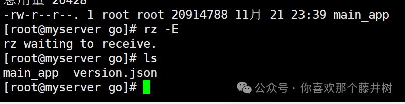 Go Learning Notes (8): Packaging for Linux System Execution
