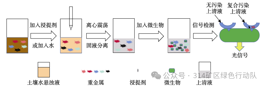 Teaching Experiment Design for Characterizing Biological Toxicity of Polluted Soil Using Magnetic Nanobacterial Sensors