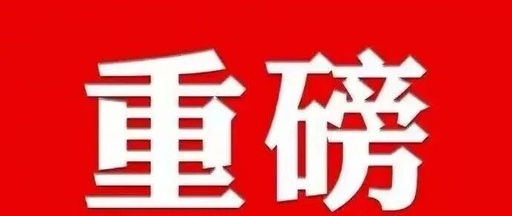 The Billionaire Heiress of Wugang, Hunan: The Chip Entrepreneurship Legend of Yu Lili