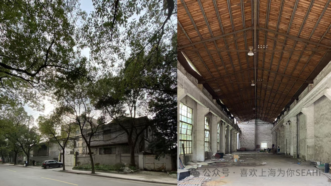Yuan Feng: Imagination Leads to Creation