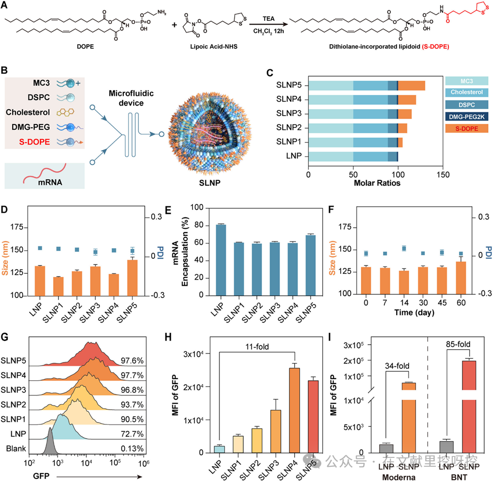 Engineering Thiol-Mediated Uptake Lipid Nanoparticles: Breaking Endosomal Barriers for Enhanced mRNA Expression