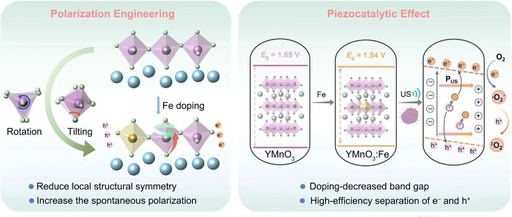 Polarization Engineering and Chemical Bond Reconstruction in Rare-Earth Hexagonal Manganite via Fe3+-Occupied B-Site Doping for Piezocatalytic Therapy and Ferroptosis