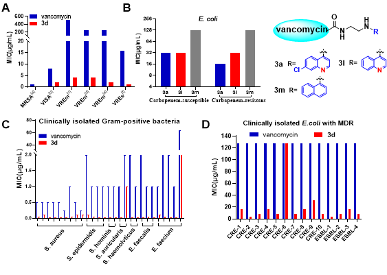Single Quinoline Modification of Vancomycin: An Effective Strategy to Alter Antibacterial Spectrum and Combat Multidrug Resistance