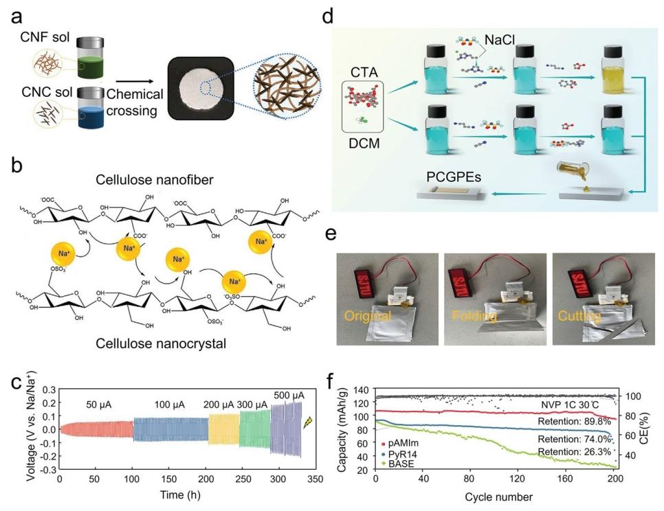 Lignocellulose-Mediated Gel Polymer Electrolytes: Enabling Next-Generation Energy Storage Devices