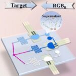 Development of a Dual-Mode Microfluidic Biosensor by China Pharmaceutical University for Highly Sensitive Detection of Helicobacter pylori Infection