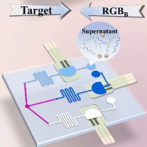 Development of a Dual-Mode Microfluidic Biosensor by China Pharmaceutical University for Highly Sensitive Detection of Helicobacter pylori Infection